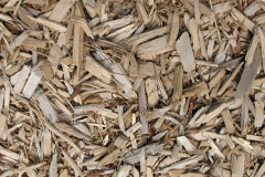 biomass boilers Balcurvie
